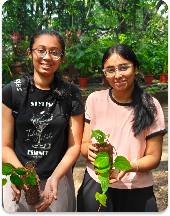 Bottle Plantation