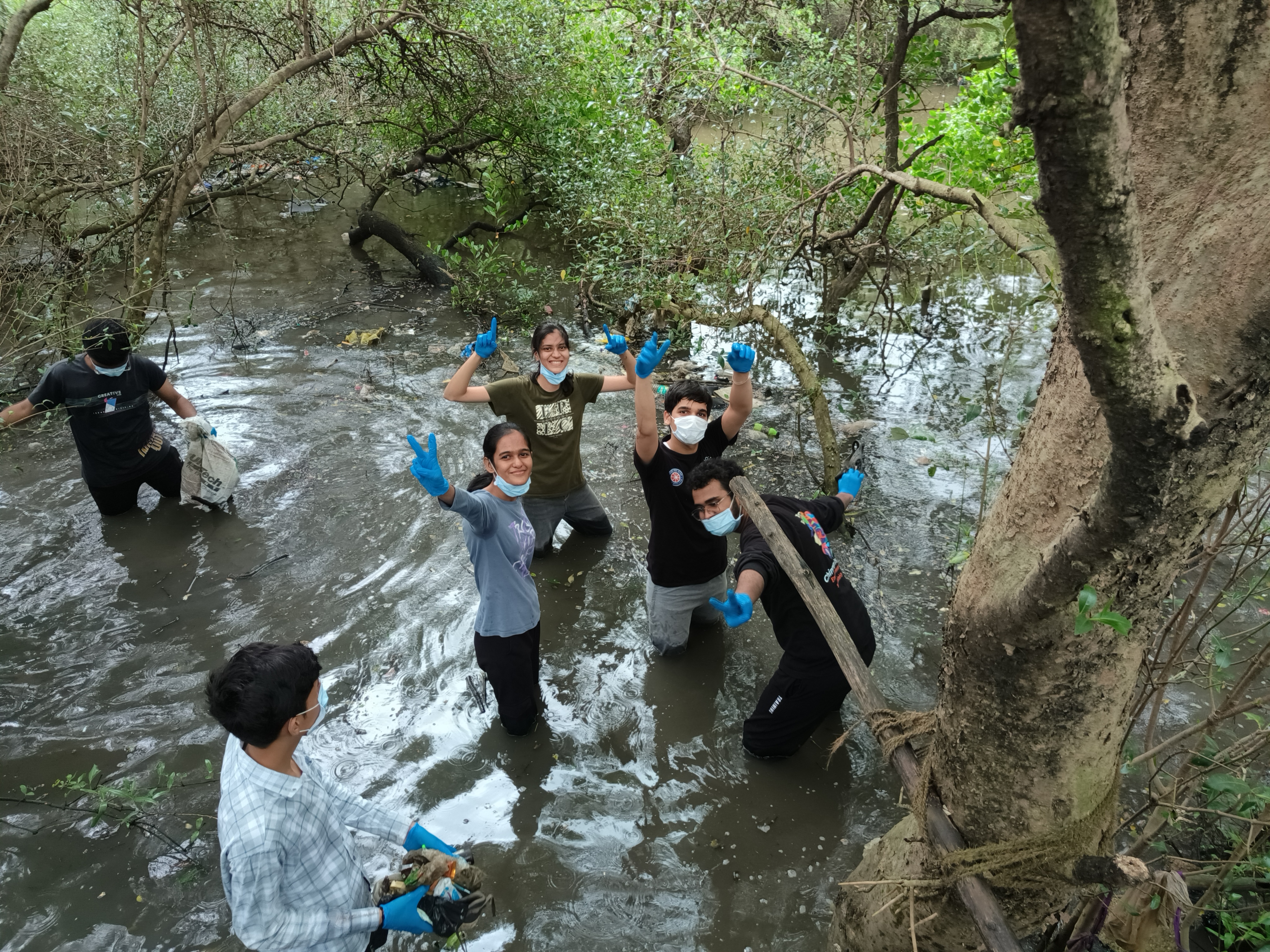 Mangrove CleanUp